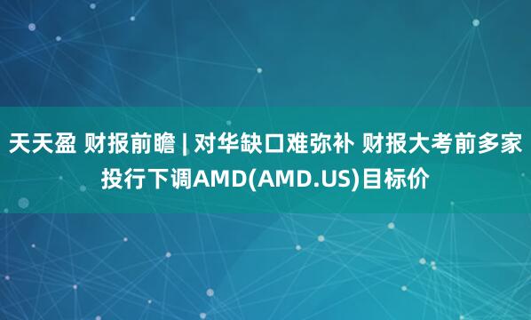 天天盈 财报前瞻 | 对华缺口难弥补 财报大考前多家投行下调AMD(AMD.US)目标价