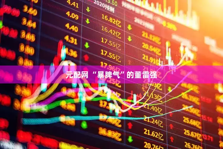 元配网 “暴脾气”的董雷强