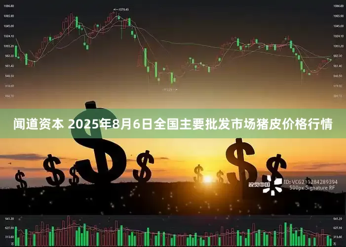 闻道资本 2025年8月6日全国主要批发市场猪皮价格行情