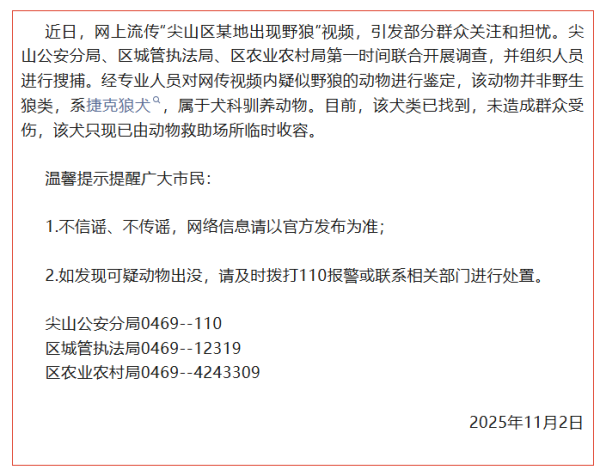 股策略 双鸭山尖山区回应“野狼出现”传闻：非野生狼类，系捷克狼犬